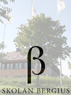 school-sida Friskolan Bergius i Märsta